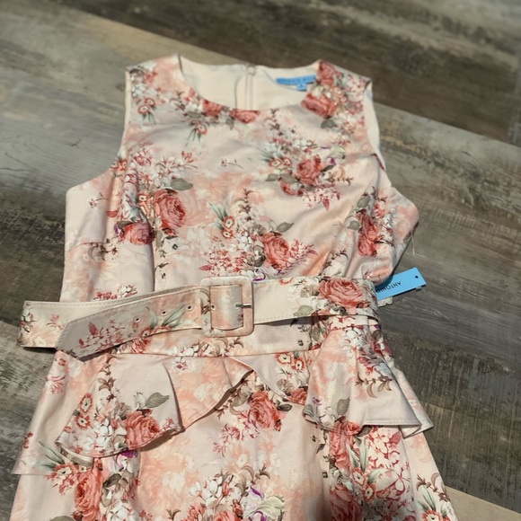 NWT Antonio Melani size 8 pink beige green sleeveless belted dress. - Picture 2 of 9